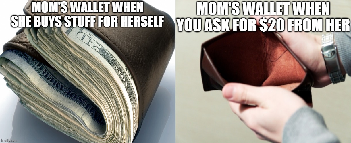 Mom's wallet | MOM'S WALLET WHEN SHE BUYS STUFF FOR HERSELF; MOM'S WALLET WHEN YOU ASK FOR $20 FROM HER | image tagged in full wallet and empty wallet,wallet,empty,full,money | made w/ Imgflip meme maker