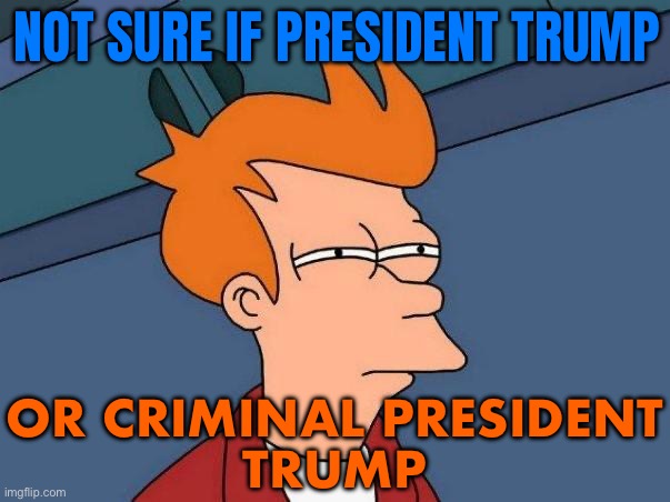 Not Sure If President Trump; Or Criminal President Trump | NOT SURE IF PRESIDENT TRUMP; OR CRIMINAL PRESIDENT
TRUMP | image tagged in skeptical fry,trump,donald trump,trump is an asshole,trump is a moron,donald trump is an idiot | made w/ Imgflip meme maker