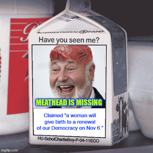 Dems gone missing... | Claimed "a woman will give birth to a renewal of our Democracy on Nov 6.”; MEATHEAD IS MISSING | image tagged in missing person,meathead,missing | made w/ Imgflip meme maker