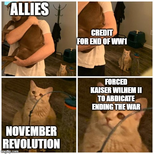 Sad Cat guy Holding dog | ALLIES; CREDIT FOR END OF WW1; FORCED KAISER WILHEM II TO ABDICATE ENDING THE WAR; NOVEMBER REVOLUTION | image tagged in sad cat guy holding dog | made w/ Imgflip meme maker