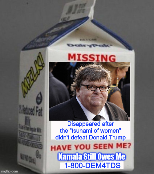 Dems gone missing | Disappeared after the “tsunami of women” didn't defeat Donald Trump; Kamala Still Owes Me; 1-800-DEM4TDS | image tagged in missing milk carton,cheeseburger moore,missing | made w/ Imgflip meme maker