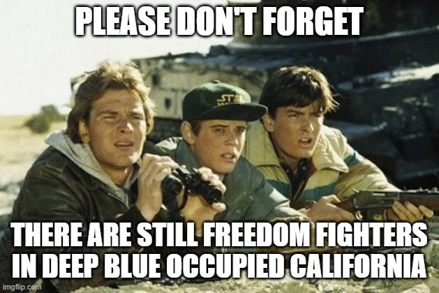 Red Dawn - Patrick Swayze | PLEASE DON'T FORGET; THERE ARE STILL FREEDOM FIGHTERS IN DEEP BLUE OCCUPIED CALIFORNIA | image tagged in red dawn - patrick swayze,democrats,communism,blue | made w/ Imgflip meme maker