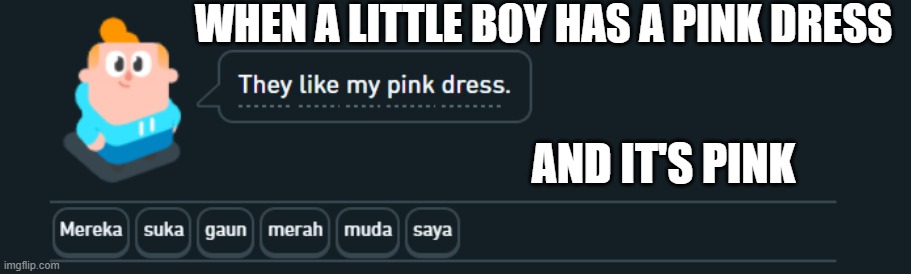 WHEN A LITTLE BOY HAS A PINK DRESS; AND IT'S PINK | image tagged in dress,little boy,pink,duolingo,male,female | made w/ Imgflip meme maker