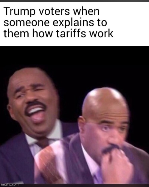 They don't realize | image tagged in tariffs | made w/ Imgflip meme maker