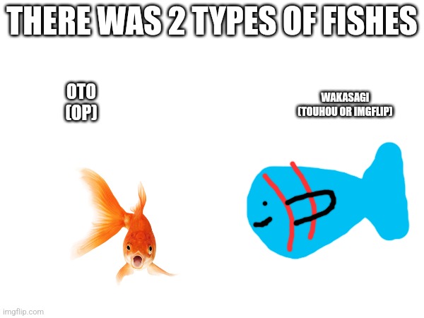 Fish | THERE WAS 2 TYPES OF FISHES; WAKASAGI
(TOUHOU OR IMGFLIP); OTO
(OP) | image tagged in fish | made w/ Imgflip meme maker