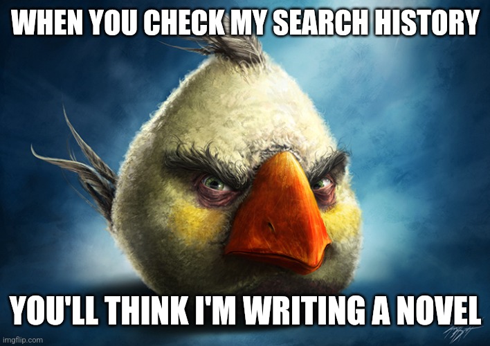 But no | WHEN YOU CHECK MY SEARCH HISTORY; YOU'LL THINK I'M WRITING A NOVEL | image tagged in realistic angry bird mathilda | made w/ Imgflip meme maker