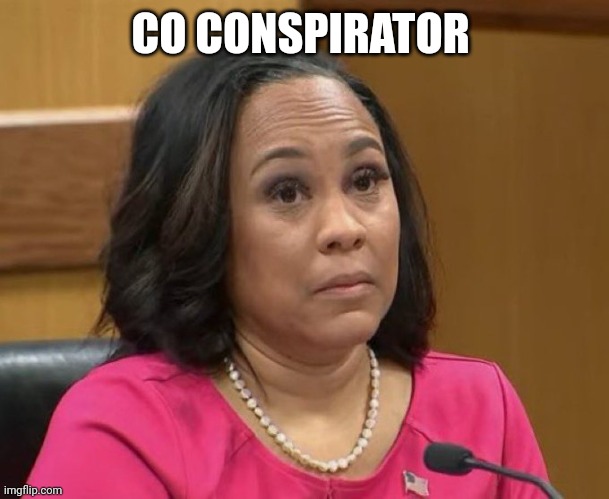 Fani Willis eyebrows | CO CONSPIRATOR | image tagged in fani willis eyebrows | made w/ Imgflip meme maker