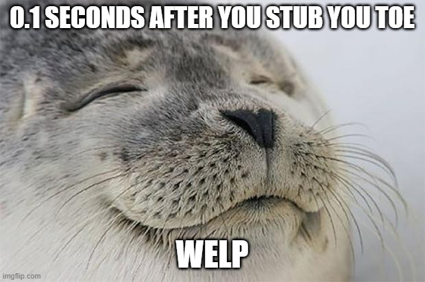 Every person had been through this | 0.1 SECONDS AFTER YOU STUB YOU TOE; WELP | image tagged in memes,satisfied seal,fun | made w/ Imgflip meme maker