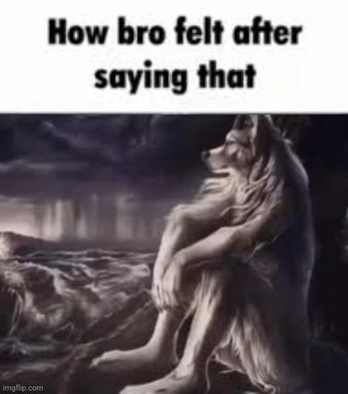 image tagged in how bro felt after saying that,alpha wolf | made w/ Imgflip meme maker