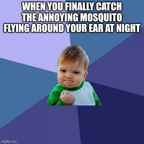 free epic Andalouse | WHEN YOU FINALLY CATCH THE ANNOYING MOSQUITO FLYING AROUND YOUR EAR AT NIGHT | image tagged in memes,success kid | made w/ Imgflip meme maker