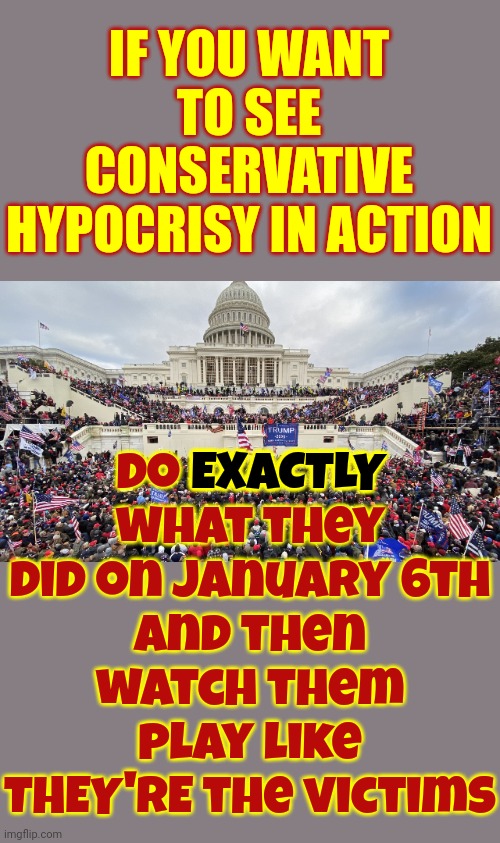 Hypocrites | IF YOU WANT TO SEE CONSERVATIVE HYPOCRISY IN ACTION; Do EXACTLY what they did on January 6th
and then watch them play like THEY'RE the victims; EXACTLY | image tagged in january 6 rioters on capitol steps,donald trump is a convicted rapist,scumbag trump,scumbag maga,conservative hypocrisy,memes | made w/ Imgflip meme maker