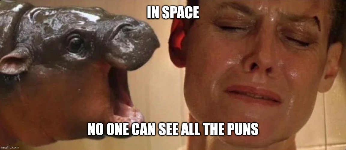 Moo deng alien | IN SPACE NO ONE CAN SEE ALL THE PUNS | image tagged in moo deng alien | made w/ Imgflip meme maker