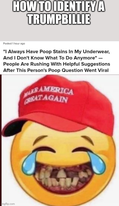 TrumpBillies | HOW TO IDENTIFY A
TRUMPBILLIE | image tagged in trumpbillie,poop | made w/ Imgflip meme maker