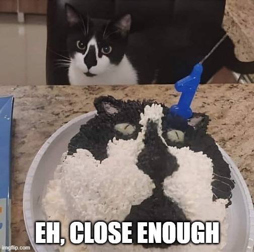 Birthday Cat | EH, CLOSE ENOUGH | image tagged in cats | made w/ Imgflip meme maker