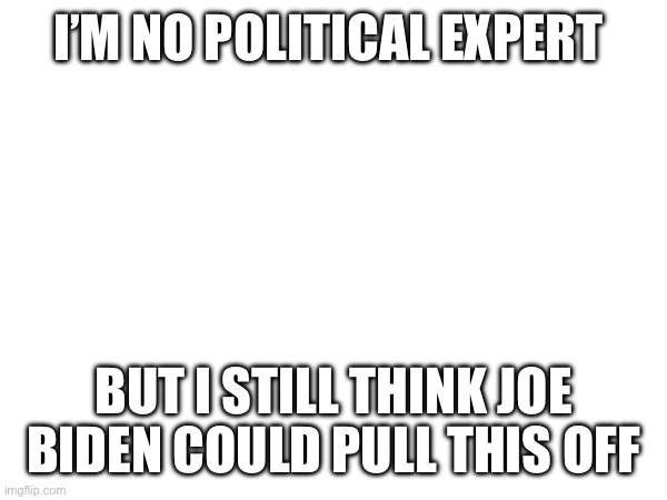 I’M NO POLITICAL EXPERT; BUT I STILL THINK JOE BIDEN COULD PULL THIS OFF | made w/ Imgflip meme maker