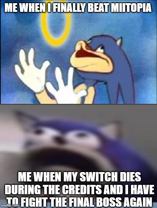 Miitopia Moment | ME WHEN I FINALLY BEAT MIITOPIA; ME WHEN MY SWITCH DIES DURING THE CREDITS AND I HAVE TO FIGHT THE FINAL BOSS AGAIN | image tagged in sonic derp | made w/ Imgflip meme maker