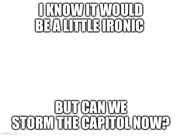 I KNOW IT WOULD BE A LITTLE IRONIC; BUT CAN WE STORM THE CAPITOL NOW? | made w/ Imgflip meme maker