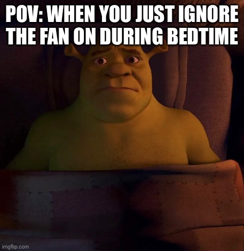 Me forgot to put the warm clothes on: | POV: WHEN YOU JUST IGNORE THE FAN ON DURING BEDTIME | image tagged in meme,shrek,midnight,dreamworks,freezing cold | made w/ Imgflip meme maker