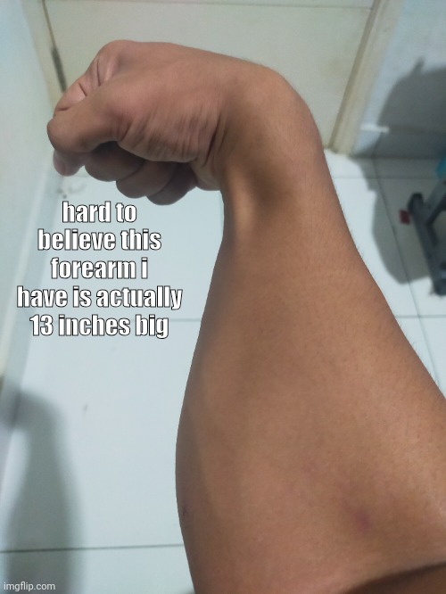 hard to believe this forearm i have is actually 13 inches big | made w/ Imgflip meme maker