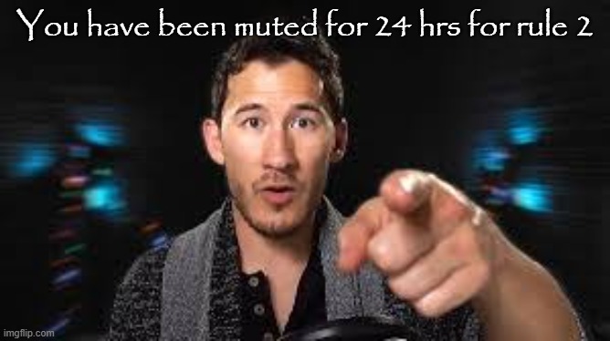 Markiplier pointing | You have been muted for 24 hrs for rule 2 | image tagged in markiplier pointing | made w/ Imgflip meme maker