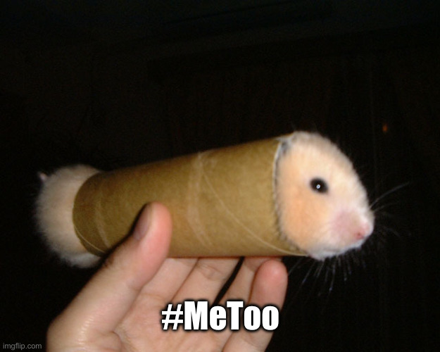 Gerbil | #MeToo | image tagged in gerbil | made w/ Imgflip meme maker