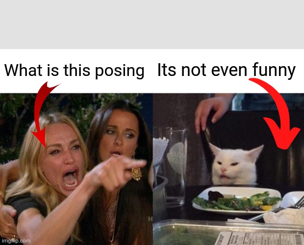 Woman Yelling At Cat Meme | What is this posing; Its not even funny | image tagged in memes,woman yelling at cat | made w/ Imgflip meme maker