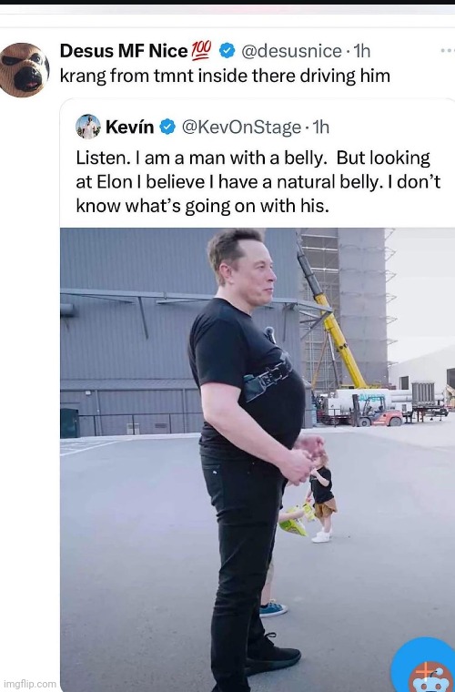 Elon | image tagged in memes,msmg,reddit,rareinsults | made w/ Imgflip meme maker