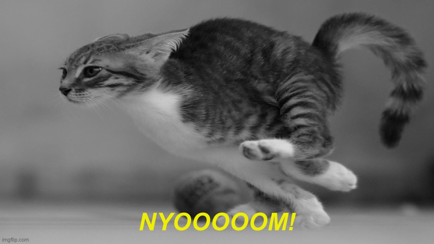 cat go speed | NYOOOOOM! | image tagged in fast running cat | made w/ Imgflip meme maker