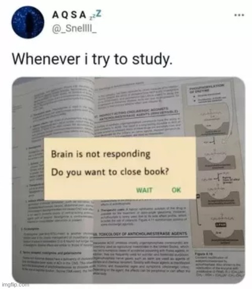 Brain is not responding | image tagged in studying,memes,school,funny,bruh | made w/ Imgflip meme maker