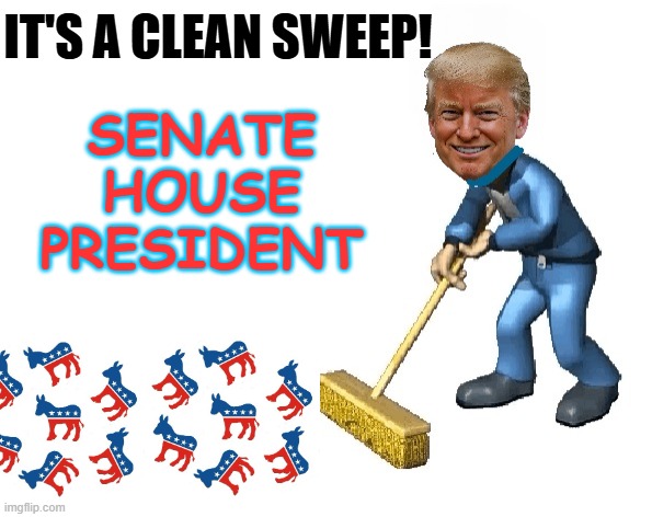 Cleaning Up the Mess | IT'S A CLEAN SWEEP! SENATE
HOUSE
PRESIDENT | made w/ Imgflip meme maker