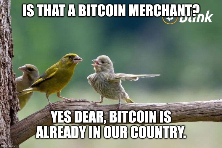 Blink meme contest 01 | IS THAT A BITCOIN MERCHANT? YES DEAR, BITCOIN IS ALREADY IN OUR COUNTRY. | image tagged in blink meme contest 01 | made w/ Imgflip meme maker