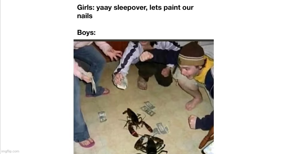 Boys vs girls | image tagged in boys vs girls | made w/ Imgflip meme maker