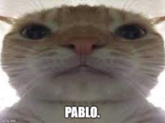 8 upvotes and Pablo travels to lgbbq | image tagged in pablo | made w/ Imgflip meme maker