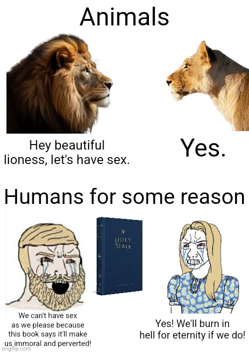 Humans are the only animals species who think it's a bad thing to have sex as one pleases | Animals; Yes. Hey beautiful lioness, let's have sex. Humans for some reason; We can't have sex as we please because this book says it'll make us immoral and perverted! Yes! We'll burn in hell for eternity if we do! | image tagged in animals,humans,sex,religion,bible | made w/ Imgflip meme maker