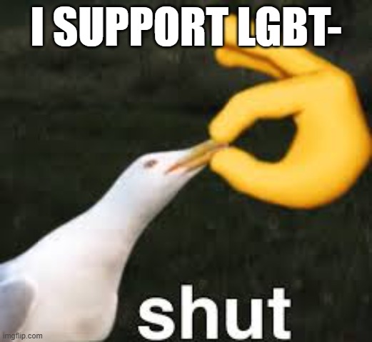 Shut Bird | I SUPPORT LGBT- | image tagged in shut bird | made w/ Imgflip meme maker