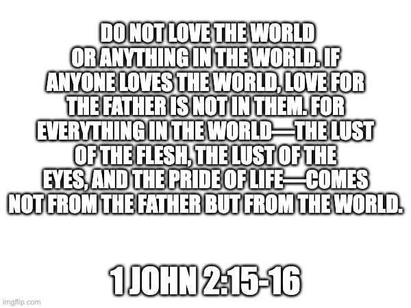 Do not love the world | DO NOT LOVE THE WORLD OR ANYTHING IN THE WORLD. IF ANYONE LOVES THE WORLD, LOVE FOR THE FATHER IS NOT IN THEM. FOR EVERYTHING IN THE WORLD—THE LUST OF THE FLESH, THE LUST OF THE EYES, AND THE PRIDE OF LIFE—COMES NOT FROM THE FATHER BUT FROM THE WORLD. 1 JOHN 2:15-16 | image tagged in bible verse,the bible | made w/ Imgflip meme maker