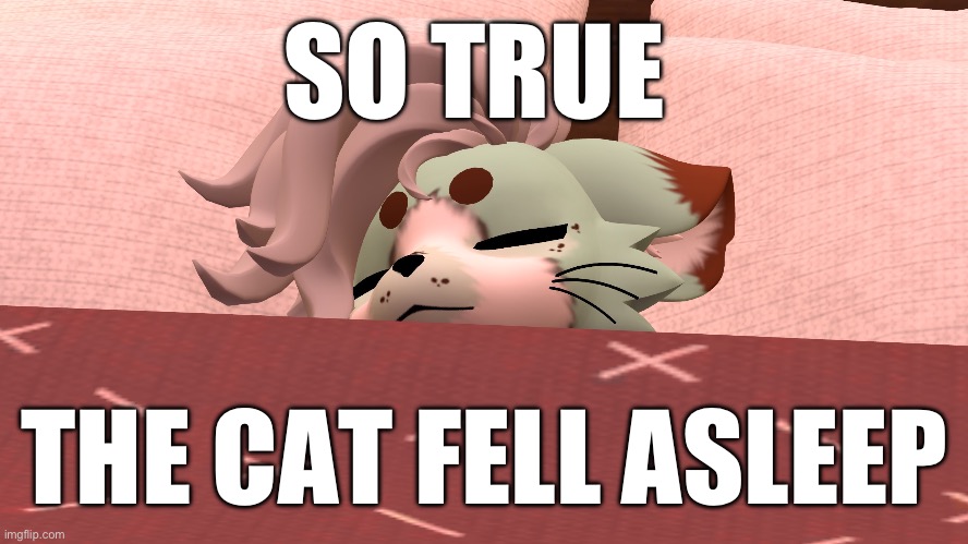 SO TRUE THE CAT FELL ASLEEP | image tagged in snuggled in bed | made w/ Imgflip meme maker