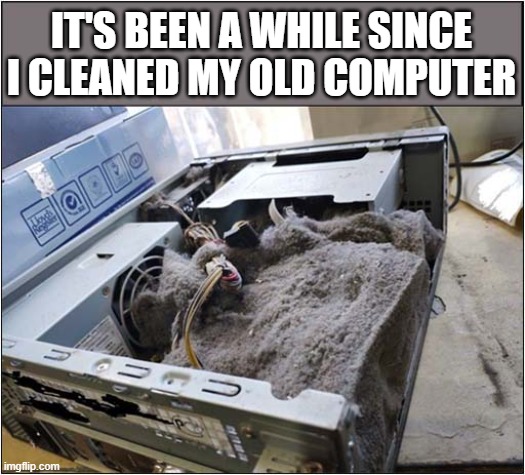 For Sale - Free Fluff ! | IT'S BEEN A WHILE SINCE I CLEANED MY OLD COMPUTER | image tagged in for sale,free,computer,fluff | made w/ Imgflip meme maker