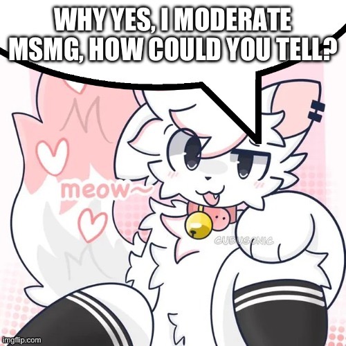 femboy boykisser speech bubble | WHY YES, I MODERATE MSMG, HOW COULD YOU TELL? | image tagged in femboy boykisser speech bubble | made w/ Imgflip meme maker