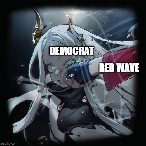 2024 election result | DEMOCRAT; RED WAVE | image tagged in 2024 election,nikke,punch | made w/ Imgflip meme maker