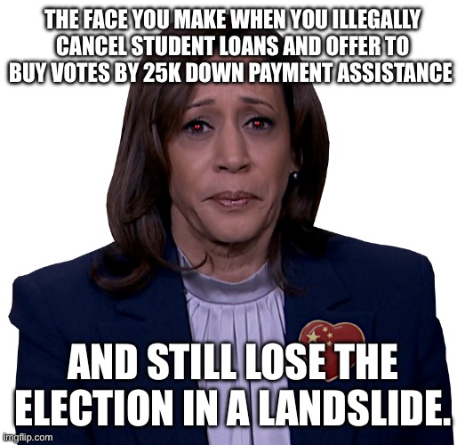 KAMALA SADLY MOPES | THE FACE YOU MAKE WHEN YOU ILLEGALLY CANCEL STUDENT LOANS AND OFFER TO BUY VOTES BY 25K DOWN PAYMENT ASSISTANCE; AND STILL LOSE THE ELECTION IN A LANDSLIDE. | image tagged in kamala sadly mopes | made w/ Imgflip meme maker