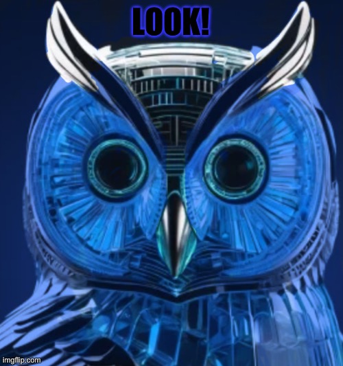 Look at beautiful owl robot (drone hint) | LOOK! | image tagged in owl | made w/ Imgflip meme maker