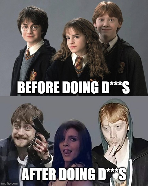 Harry Potter Hermiona Granger Ron Wesley | BEFORE DOING D***S; AFTER DOING D***S | image tagged in harry potter hermiona granger ron wesley | made w/ Imgflip meme maker