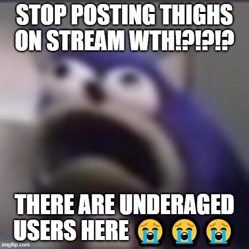 It's sad but there are (the Great Purge has yet to bring us salvation) | STOP POSTING THIGHS ON STREAM WTH!?!?!? THERE ARE UNDERAGED USERS HERE 😭😭😭 | image tagged in distress | made w/ Imgflip meme maker