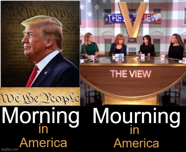 The JOY of VICTORY | Morning; Mourning; in
America; in 
America | image tagged in the view tv show,donald trump,wins,winner,america,winning | made w/ Imgflip meme maker