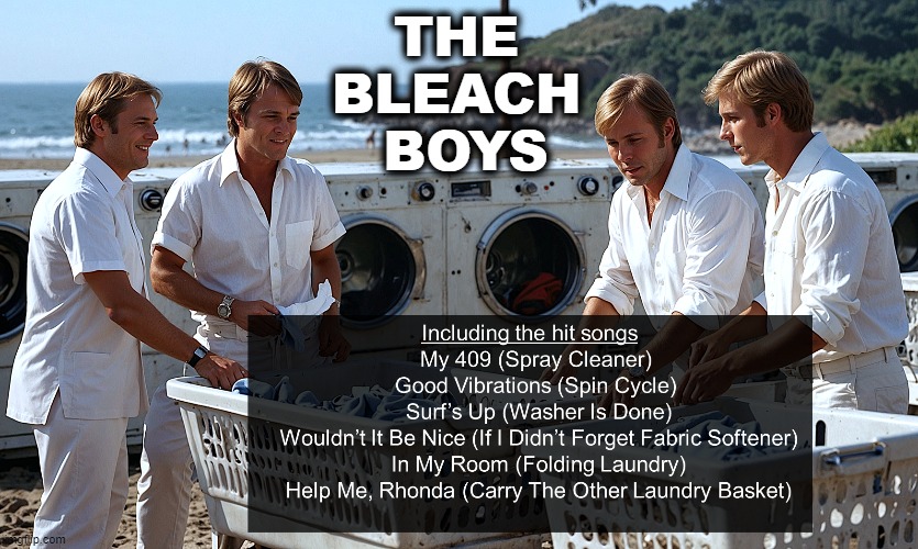 Clean Music | THE 
BLEACH 
BOYS | image tagged in beach,rock and roll,rock,surf | made w/ Imgflip meme maker