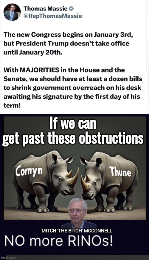 RINOS need to go. Ditch Mitch McConnell | If we can get past these obstructions; MITCH 'THE BITCH' MCCONNELL | image tagged in mitch mcconnell,rhinos | made w/ Imgflip meme maker