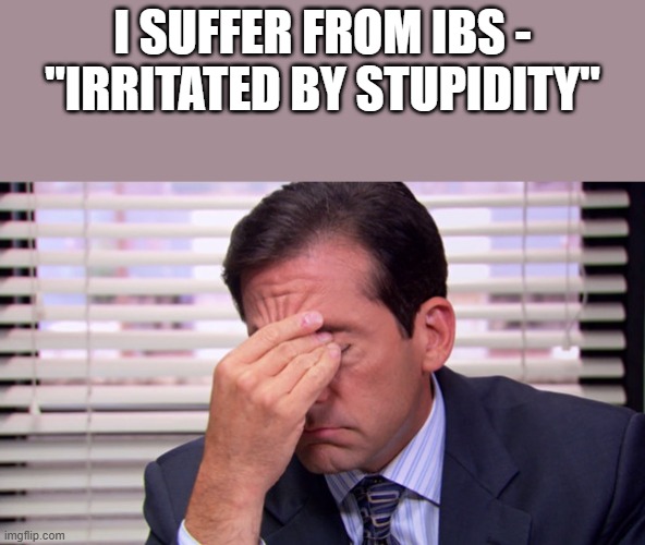 Irritated By Stupidity | I SUFFER FROM IBS - "IRRITATED BY STUPIDITY" | image tagged in irritated,ibs,stupidity,the office,funny,memes | made w/ Imgflip meme maker