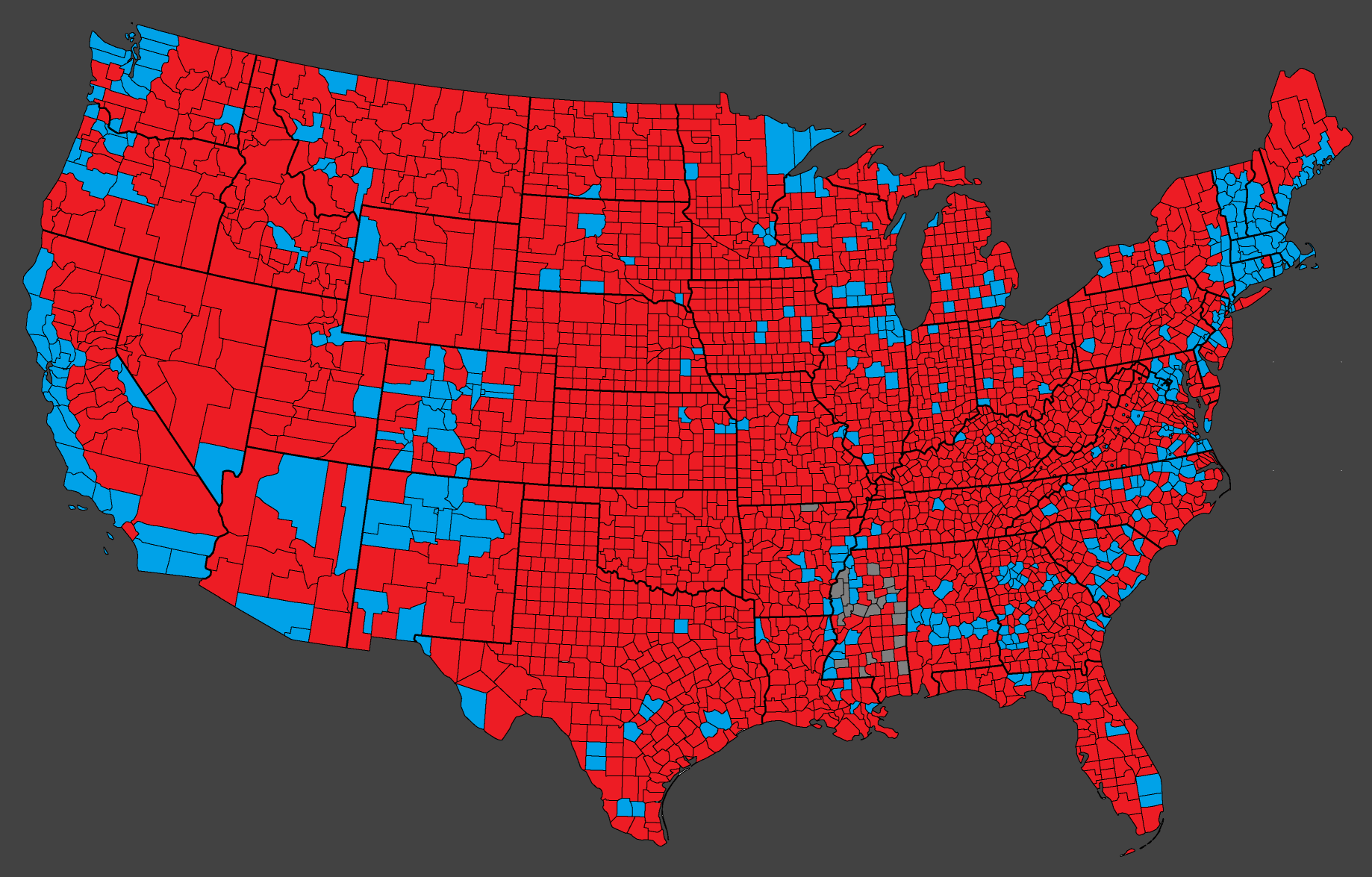 2024 presidential election Blank Meme Template