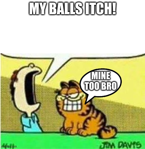 scratch it from him please | MY BALLS ITCH! MINE TOO BRO | image tagged in jon yelling at garfield | made w/ Imgflip meme maker